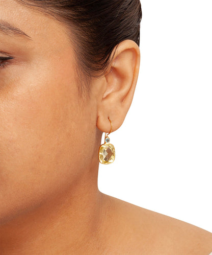 Silver Gold  Plated Dual  Color Hook Earrings