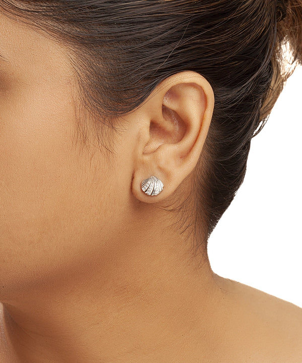 Silver Scallop Shell Studs