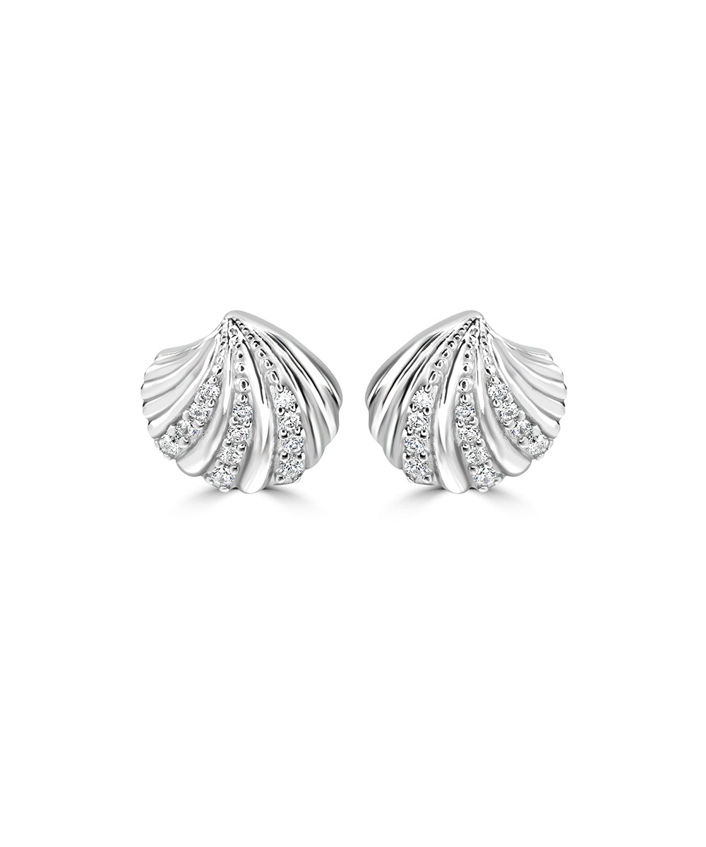 Silver Scallop Shell Studs