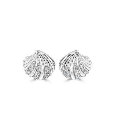 Silver Scallop Shell Studs