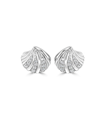 Silver Scallop Shell Studs