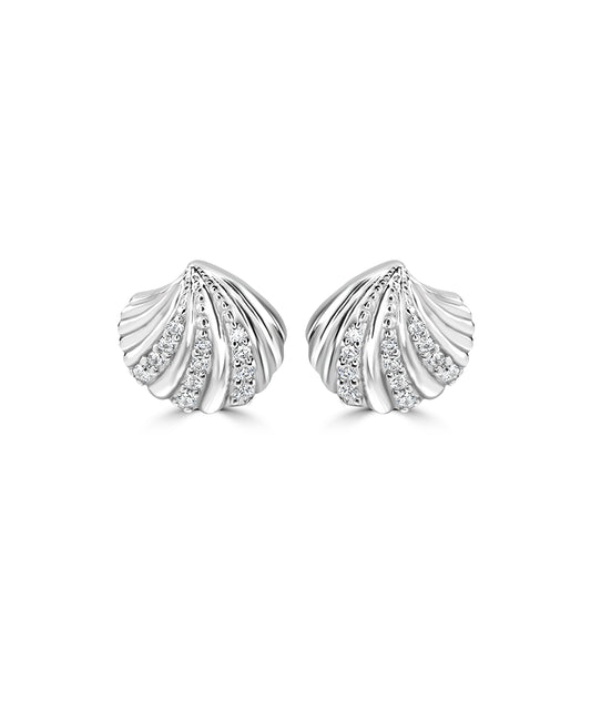 Silver Scallop Shell Studs