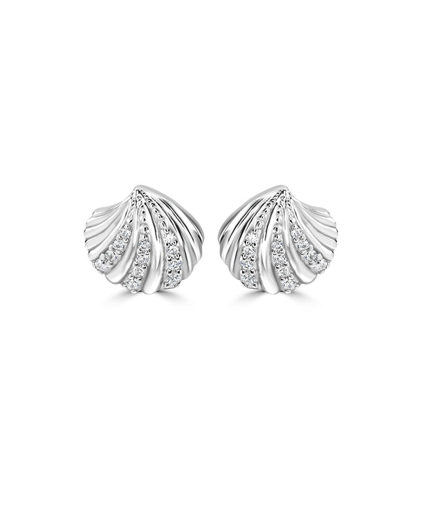 Silver Scallop Shell Studs