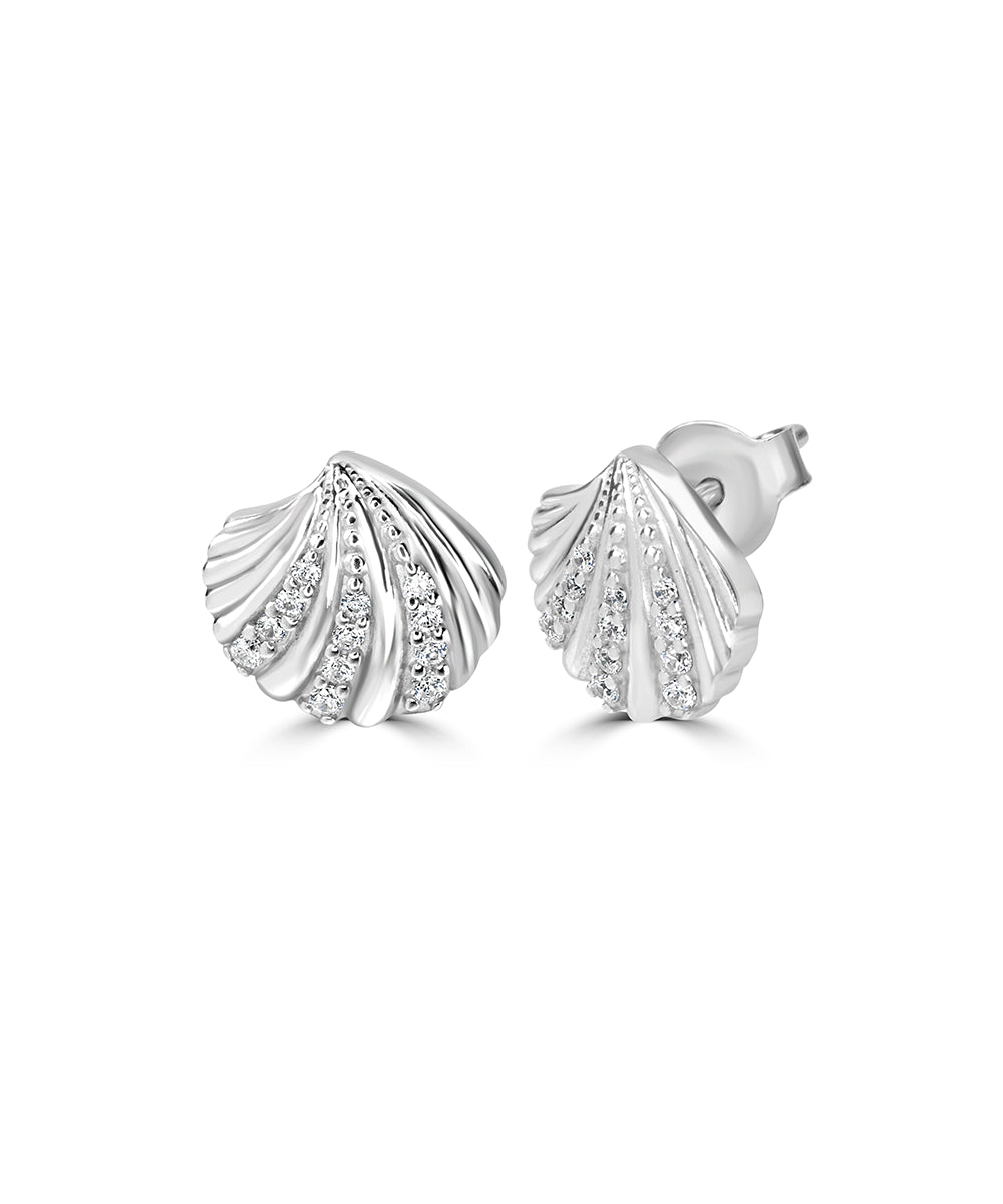 Silver Scallop Shell Studs